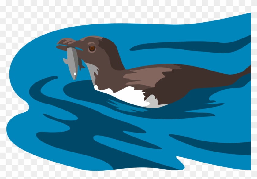 Bird In Water With Fish In Its Mouth - Illustration #1634444