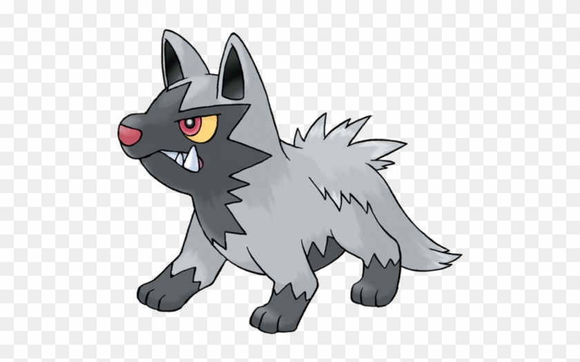 Image - Poochyena Pokemon #1634753