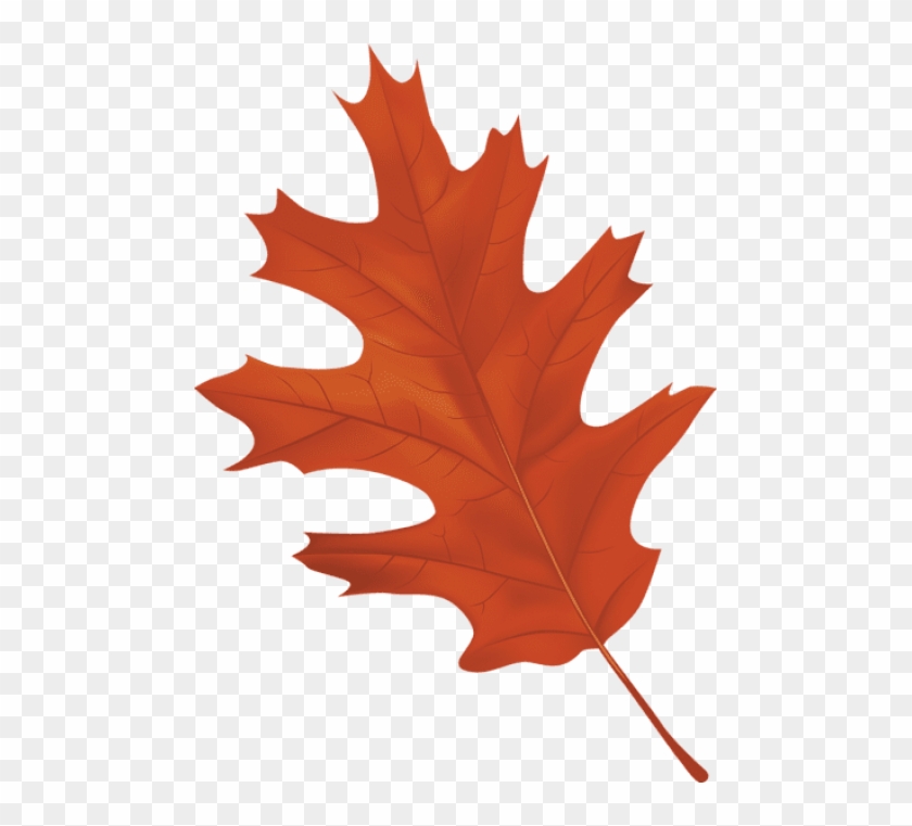 Free Png Download Brown Autumn Leaf Clipart Png Photo - Autumn Leaf Clipart Png #1634942