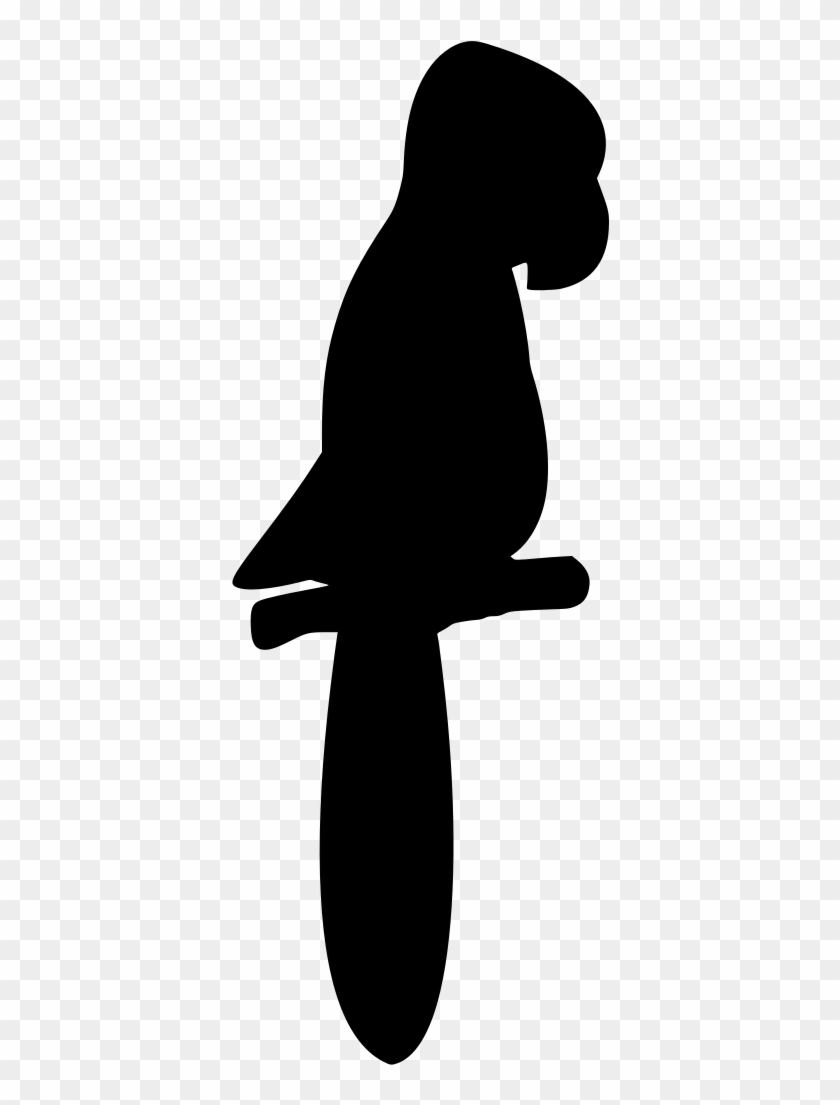 Info - Penguin #1635272