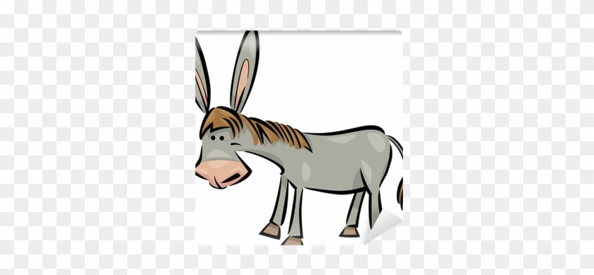 Burro Caricatura #1635989