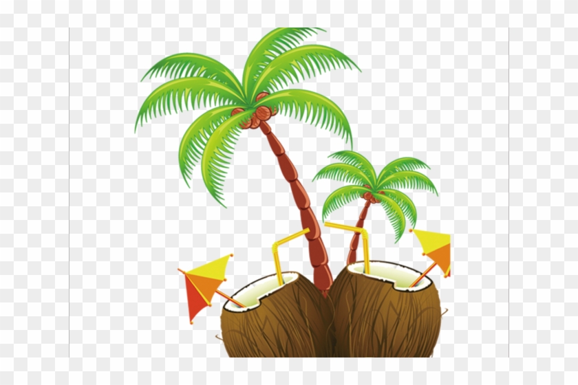 Coconut Clipart Hawaii Coconut - Coconut Tree Clipart Png #1636362