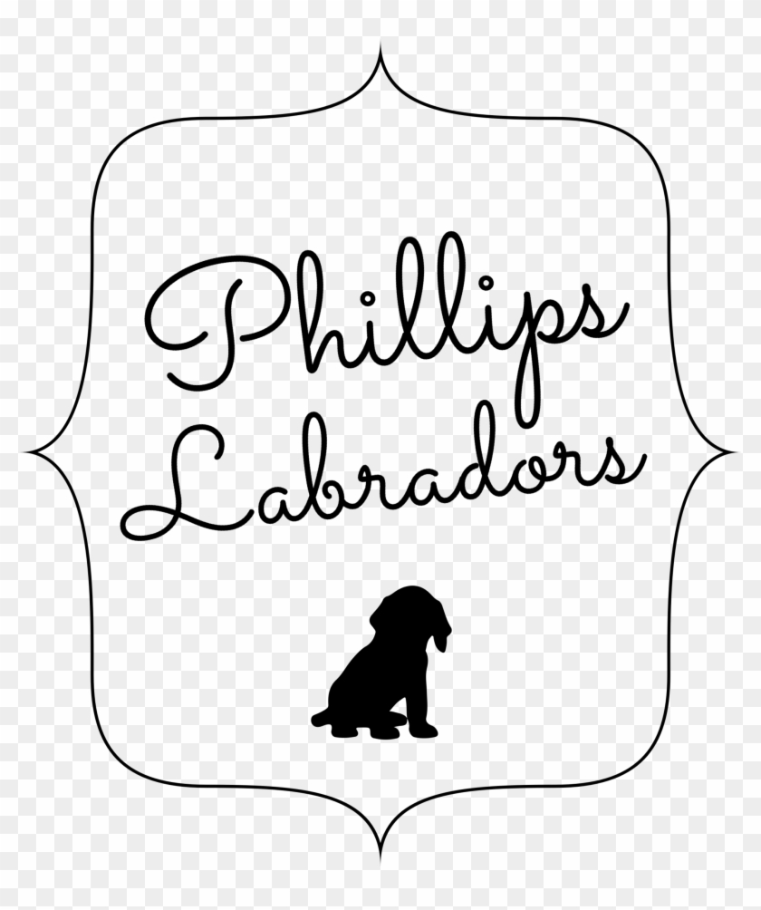 English White Labradors - Silhouette #1636690