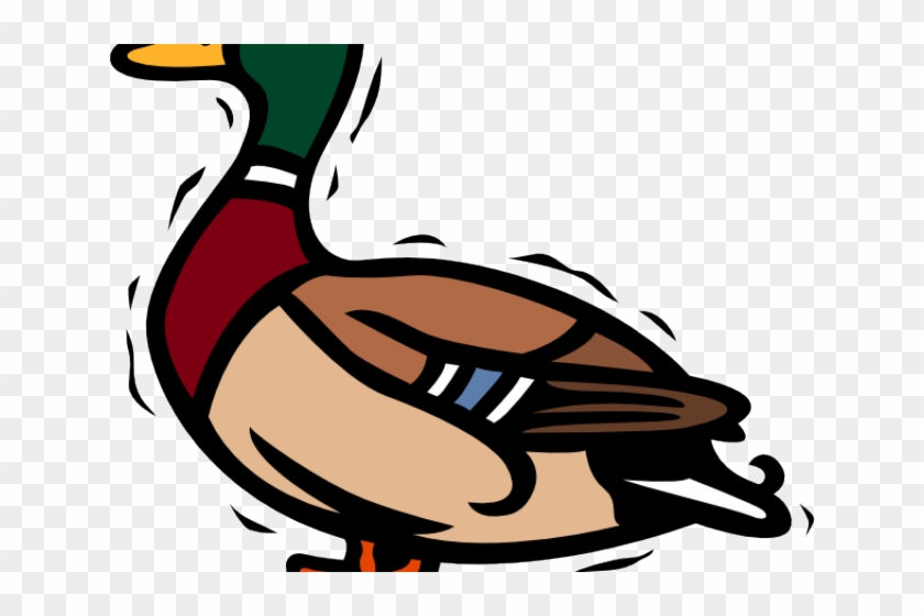 Drake Clipart Duck - Mallard Duck Clipart #1636745