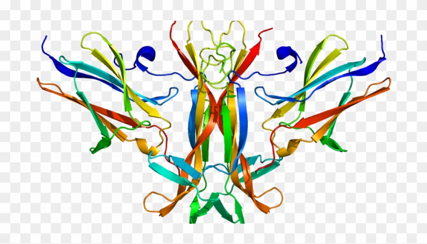 Global Nt 3 Growth Factor Receptor Market 2019- Array - Trkb Receptor #1638554