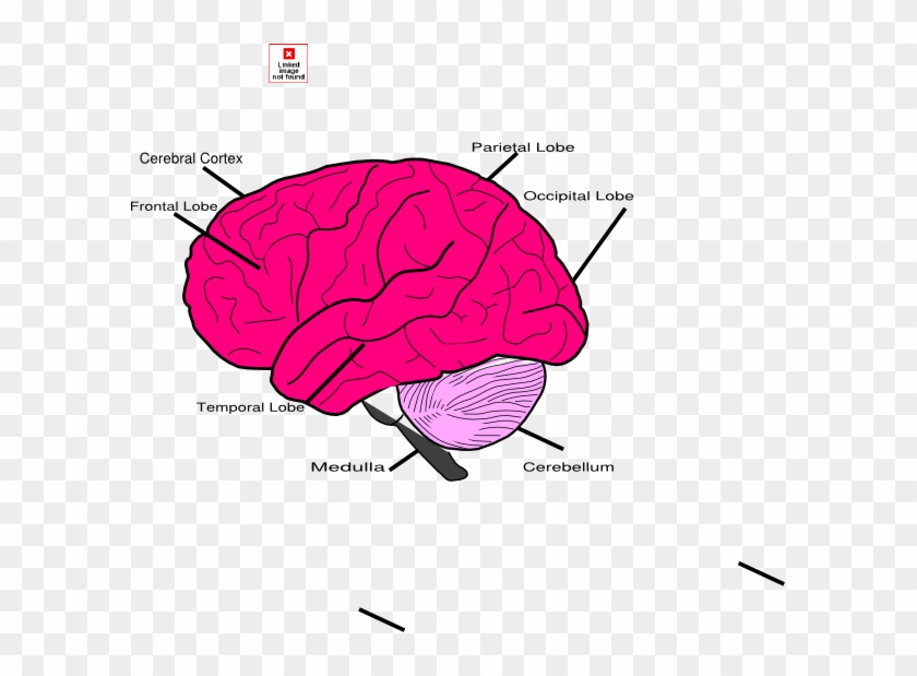 Diagram #1640202