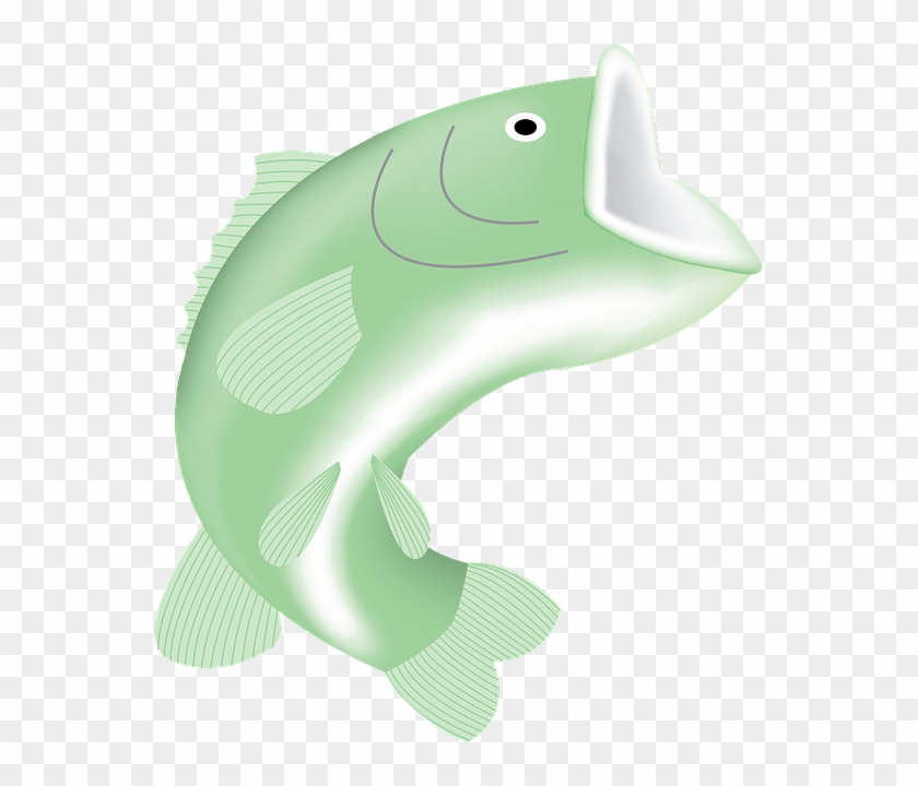 Friday Fish Feeders - Friday Fish Feeders #1641664