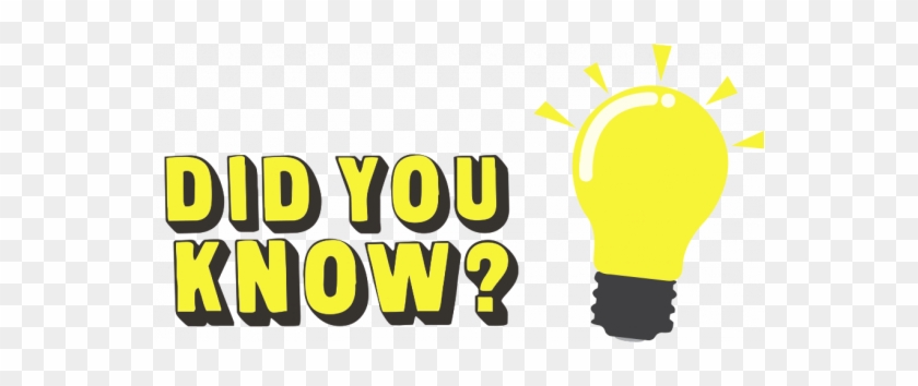 The Sections In Axl Have Websites Too - Did You Know Sign #1642548