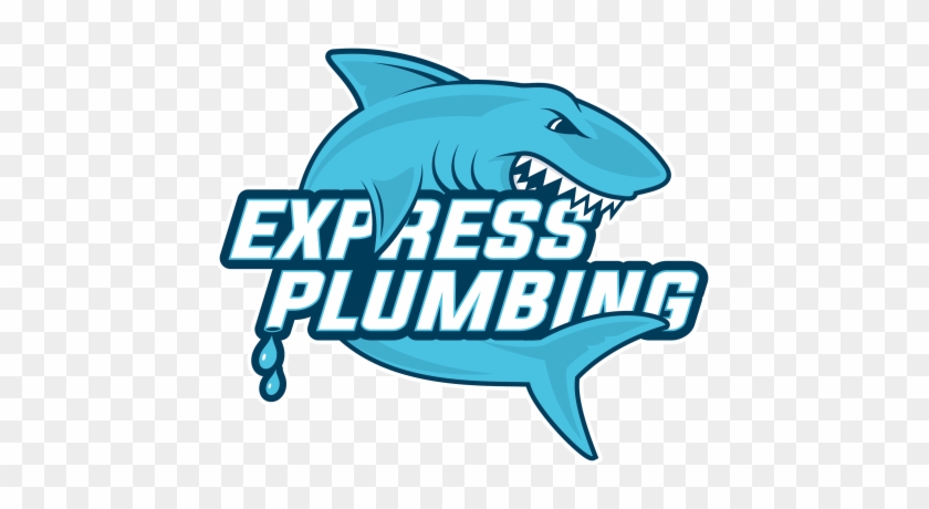 Express Plumbing Service - Carcharhiniformes #1643123
