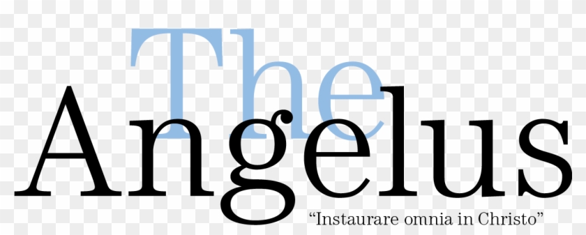 Contents - Jagtag #1643230