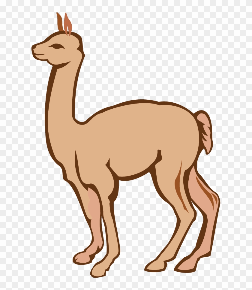 Alpaca - Alpaca #1643276
