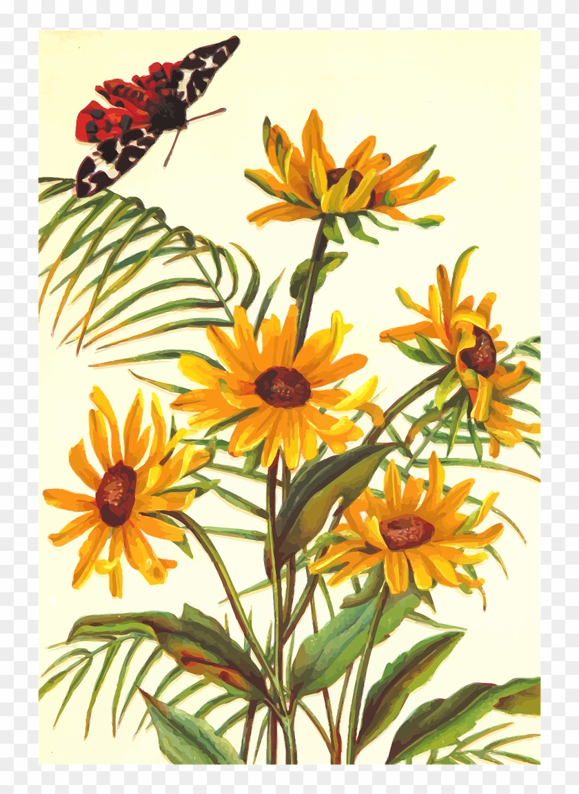 Butterfly Floral Flower - Flower #1643683