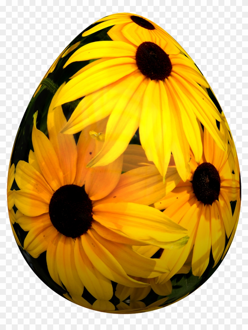 Eggs Easter Easter Egg - Wielkanoc Jajka Png #1643699