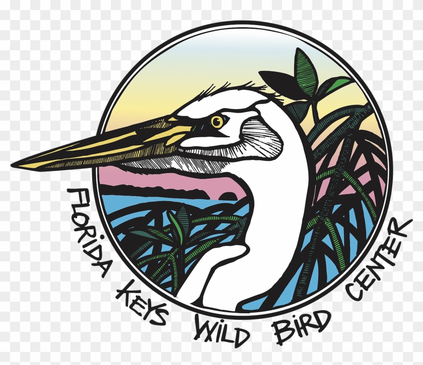 Florida #1645075