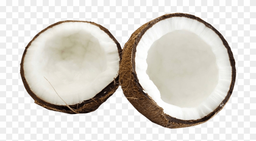 Coconut Png Image - Coconuts Png #1645347