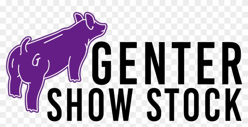 Gentershowstock - Dog #1645731
