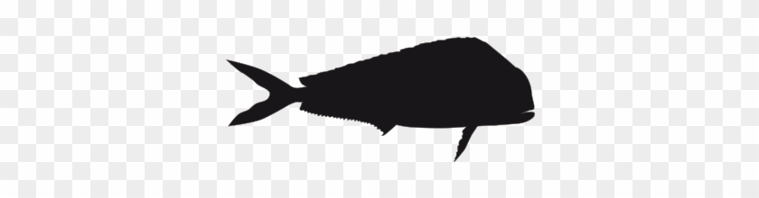Mahi Mahi Fish Black And White Png #1645880