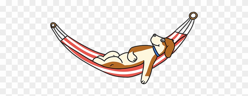 Welcome To Cool Canines In Partnership With Dog Walking - Welcome To Cool Canines In Partnership With Dog Walking #1646125