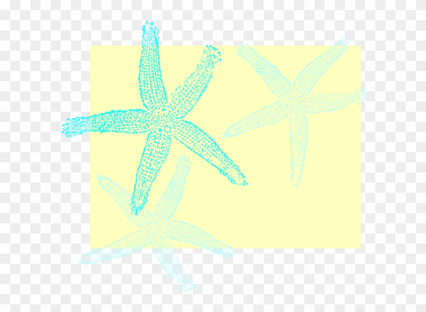Fish Clip Art #1648010
