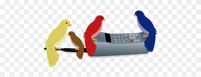 Caitlin Green 0 0 Four Calling Birds By Caitlin Green - 4 Birds A Calling #1649423