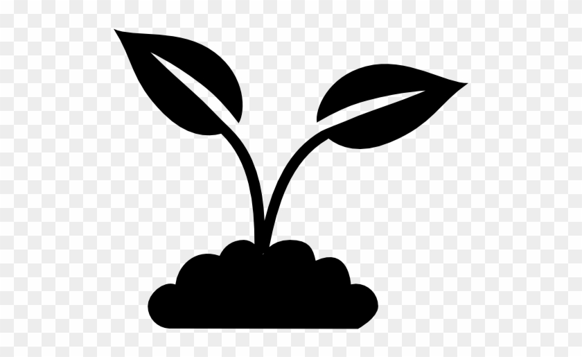 512 X 512 3 - Plant Icon #1652063