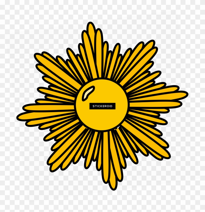 Gold Starburst Star - Girl Scout Gold Award Png #1652340