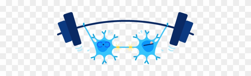 Neurons Lifting Weights - Truth About Your Brain Khan Academy #1652852