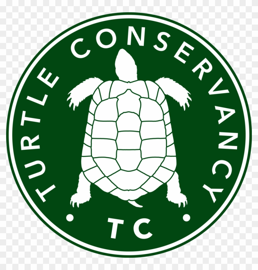 Turtle Conservancy - Turtle Conservancy #1653524