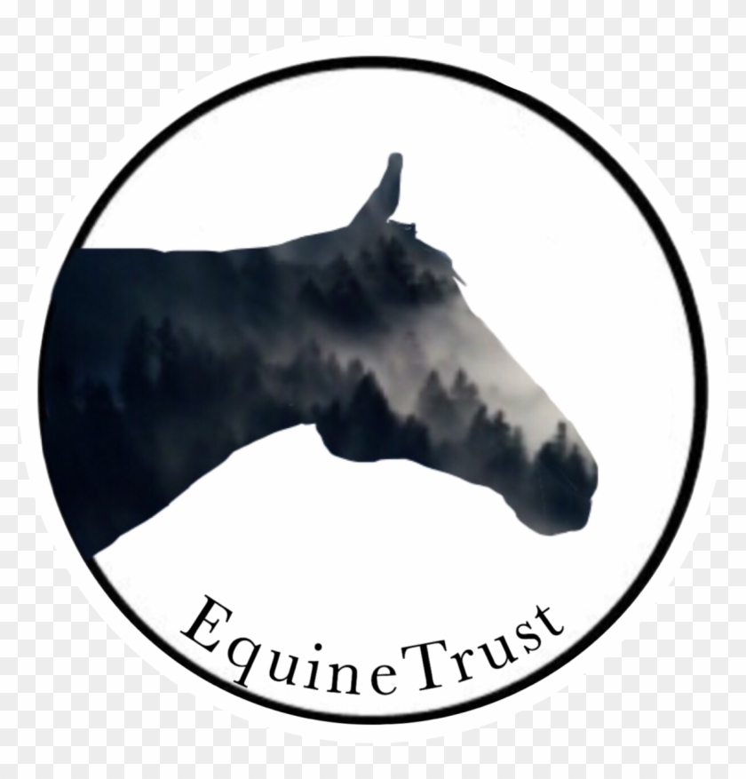 Stallion #1654335