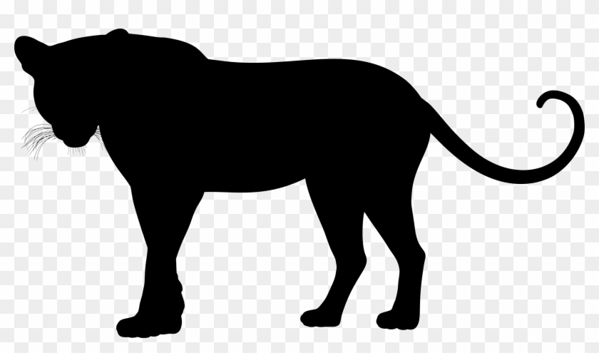 Silhouette - Snow Leopard Silhouette #255774