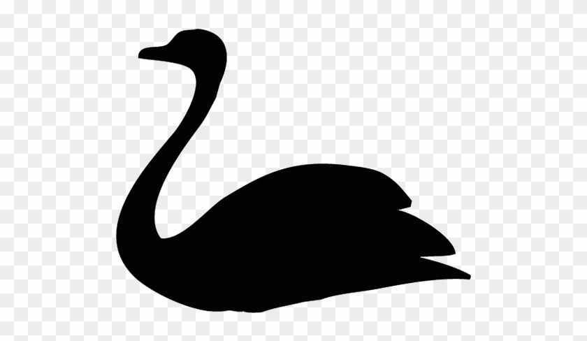 Duck #1655987
