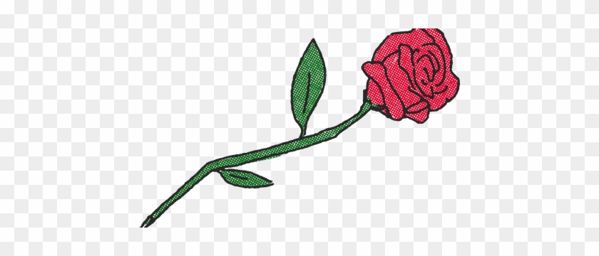 Garden Roses #1656361