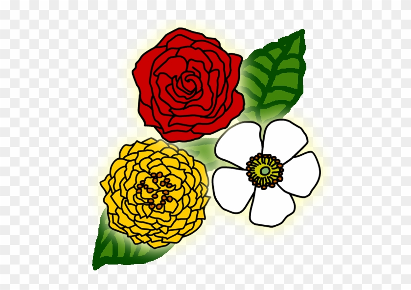 Rose Puzzle 4 - Floribunda #1657459