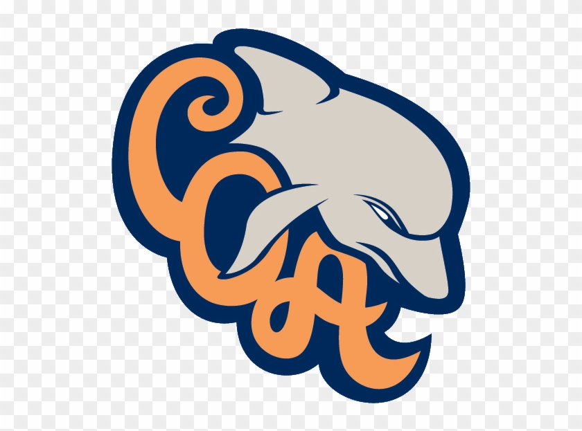 Https - //cgs1716blog - Files - Wordpress - Com/2014/01/ - College Of The Albemarle Mascot #1657991