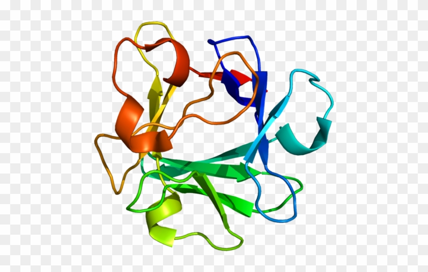 Basic Fibroblast Factor Wikiwand Available Structures - Fibroblast Growth Factor Structure #1659011