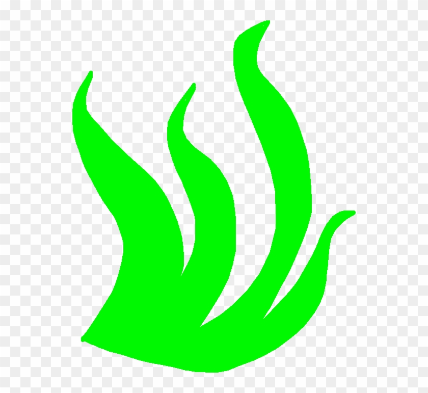 Seaweed - Seaweed - Seaweed - Seaweed #1659129