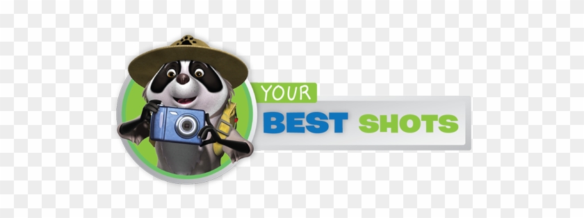 Capture Your Version Of Chester In Spring Contest Sponsored - Best Photo Contest #1659512