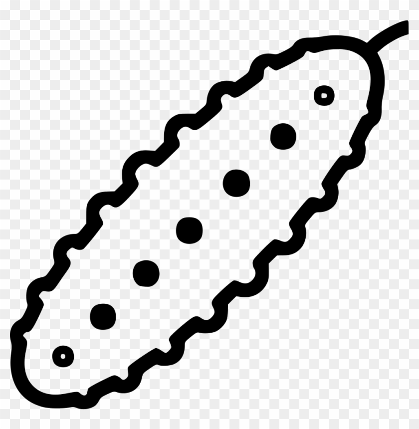 Cucumber Comments - Cucumber Comments #1660252