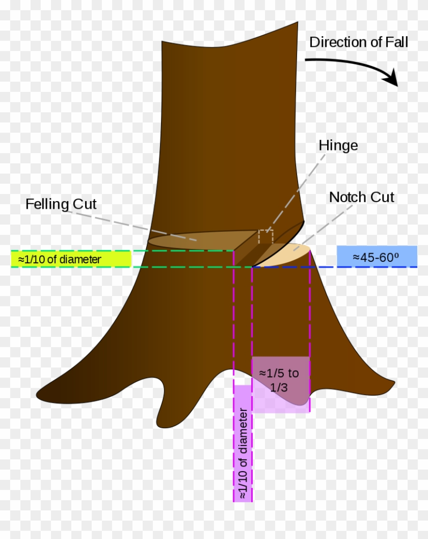 Cutting Down A Tree With A Chainsaw - Cut A Tree With A Chainsaw #1660682