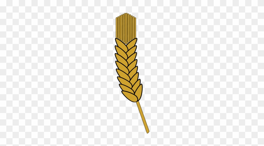 Barley Vector - Illustration #1661296
