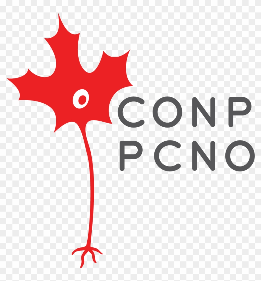 Maple Leaf #1661516
