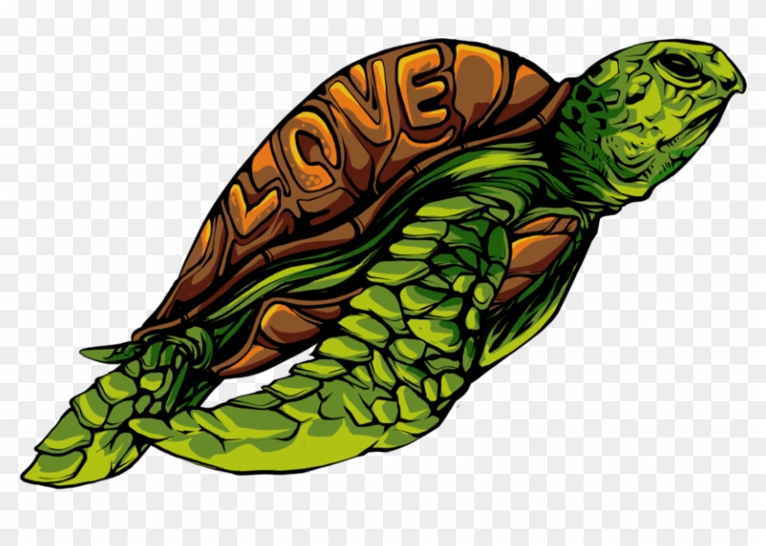 Tortoise #1662341