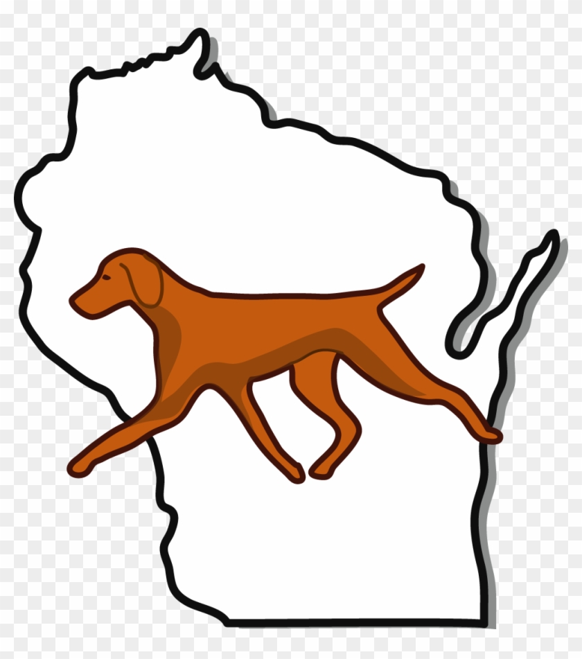 Hunting Dog #1662444