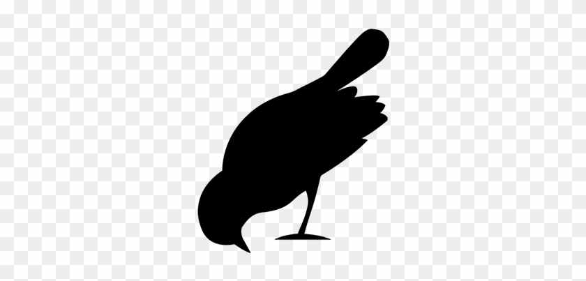 Bird On The Wire-logo - Phasianidae #1664205