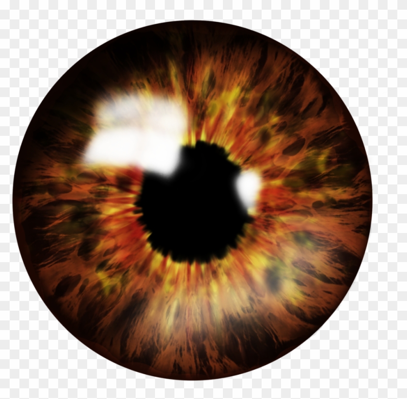Brown Eyes Clipart Small Eye - Eye Lens Png #1665052
