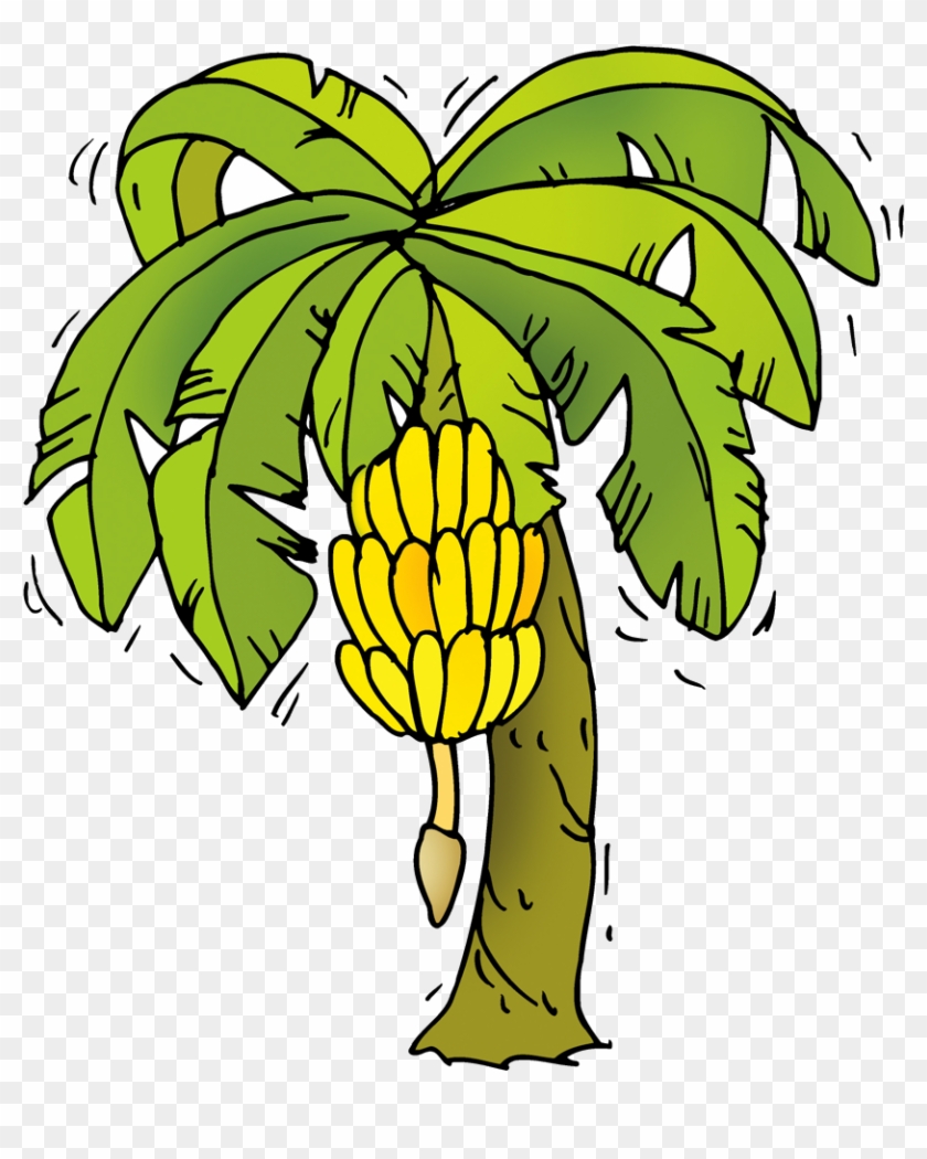 Plant - Banana Tree Cartoon Png #1665245