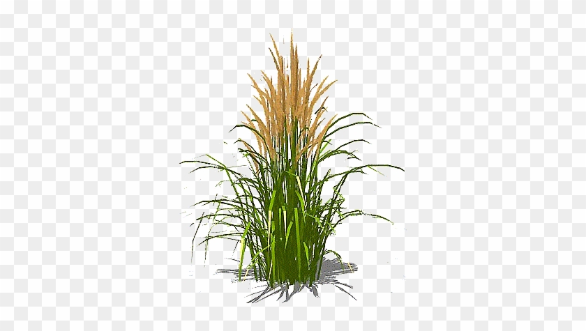 Clip Art Clipartix - Tall Grass Texture Png #1668637