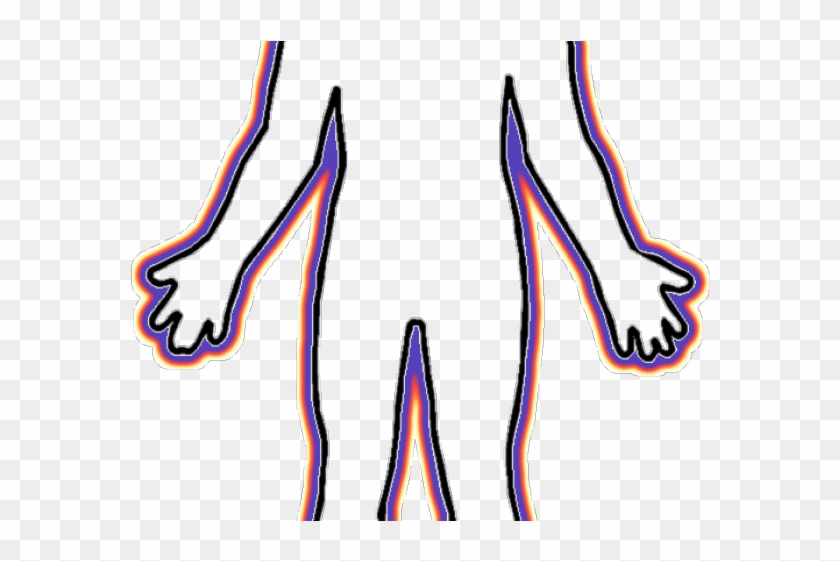 Anatomy Clipart Person - Контур Человека Png #1669497