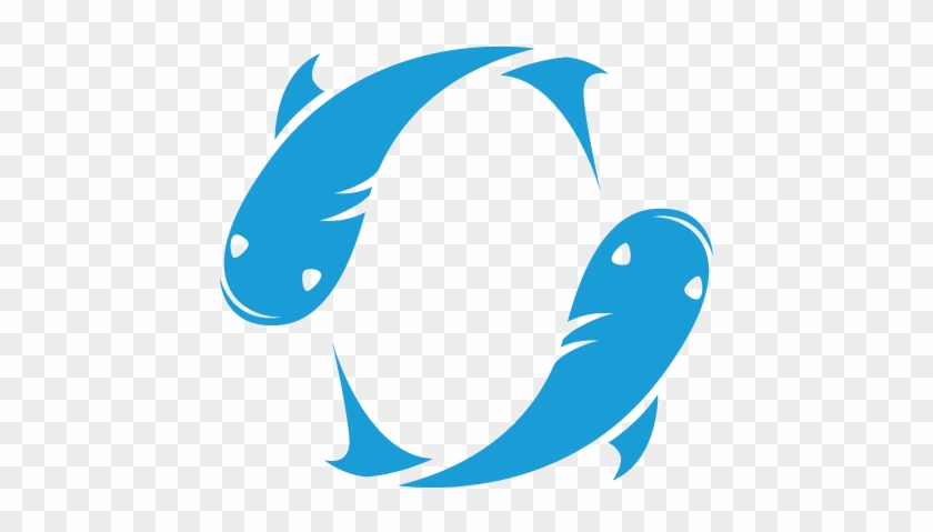 Online Fly Fishing Store - Online Fly Fishing Store #1670598