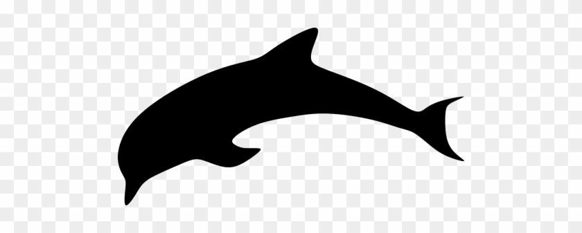Vector - Delfin Obrys #1671043